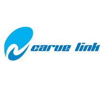 carve link